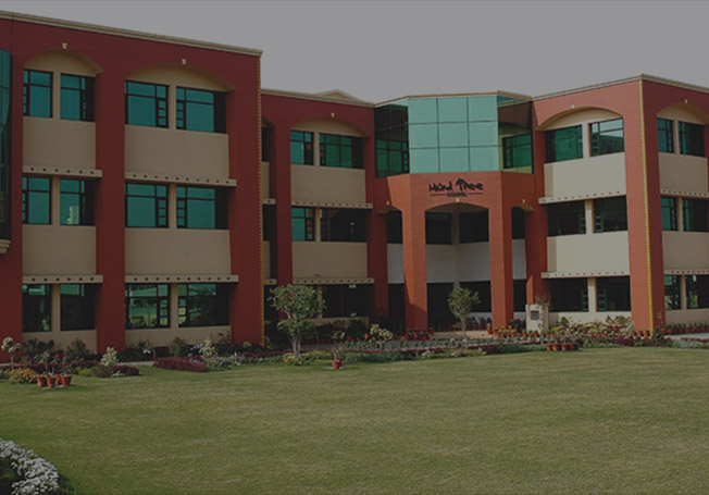 Ambala Mindtree School